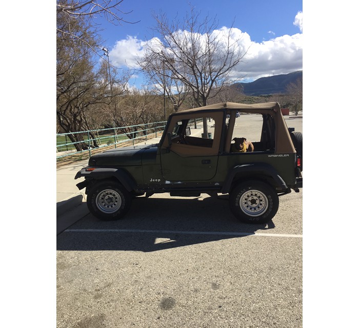 95 Wrangler with less than 70000 miles 3