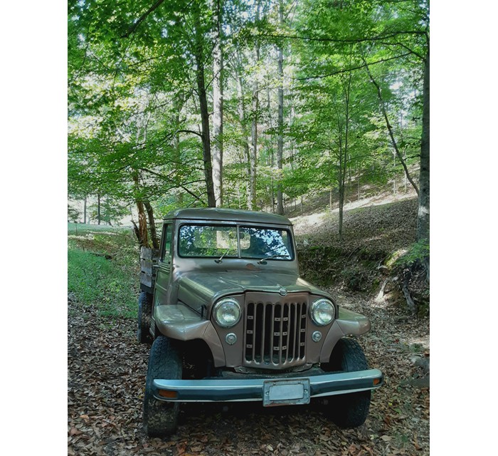 1952 Jeep Willis 5