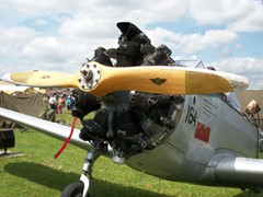 Reading Air Show 021