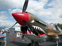 Reading Air Show 032