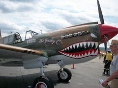 Reading Air Show 037