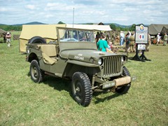 Reading Air Show 113