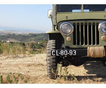 Jeep Willys CJ 3A 1
