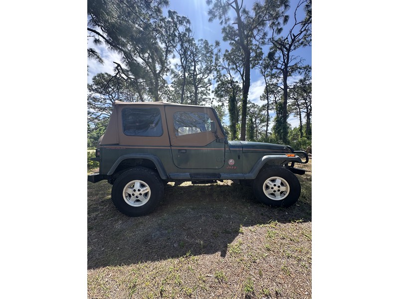 1994 YJ Wrangler Sahara 4