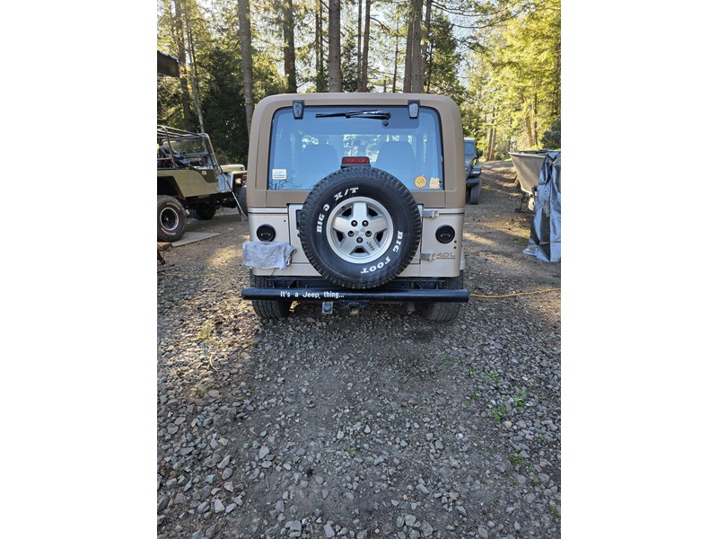 1995 Wrangler Sahara 3